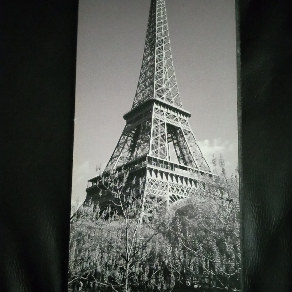 Picture set - Picture 4 of 4
